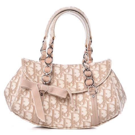 dior trotter cloth handbag|christian Dior trotter handbag.